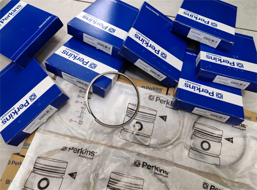 珀金斯2806S-E15柴油機(jī)總成與零配件采購指南，不看后悔！